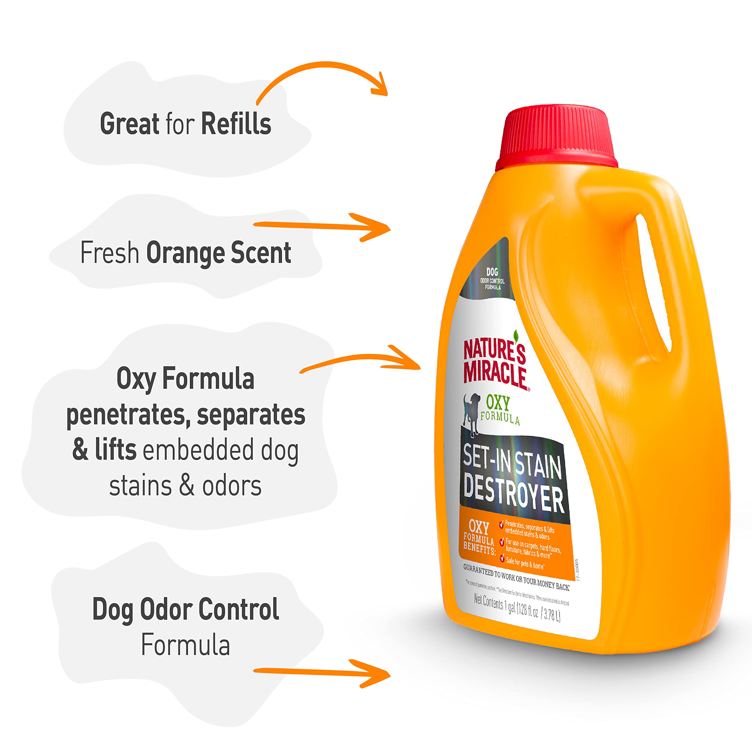 Nature's Miracle Set-In Stain Destroyer after-stain result on carpet.