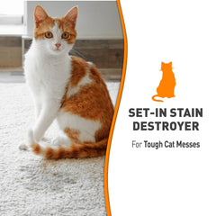 Nature's Miracle Set-In Stain Destroyer foam penetration lifting embedded stains from carpet fibers.