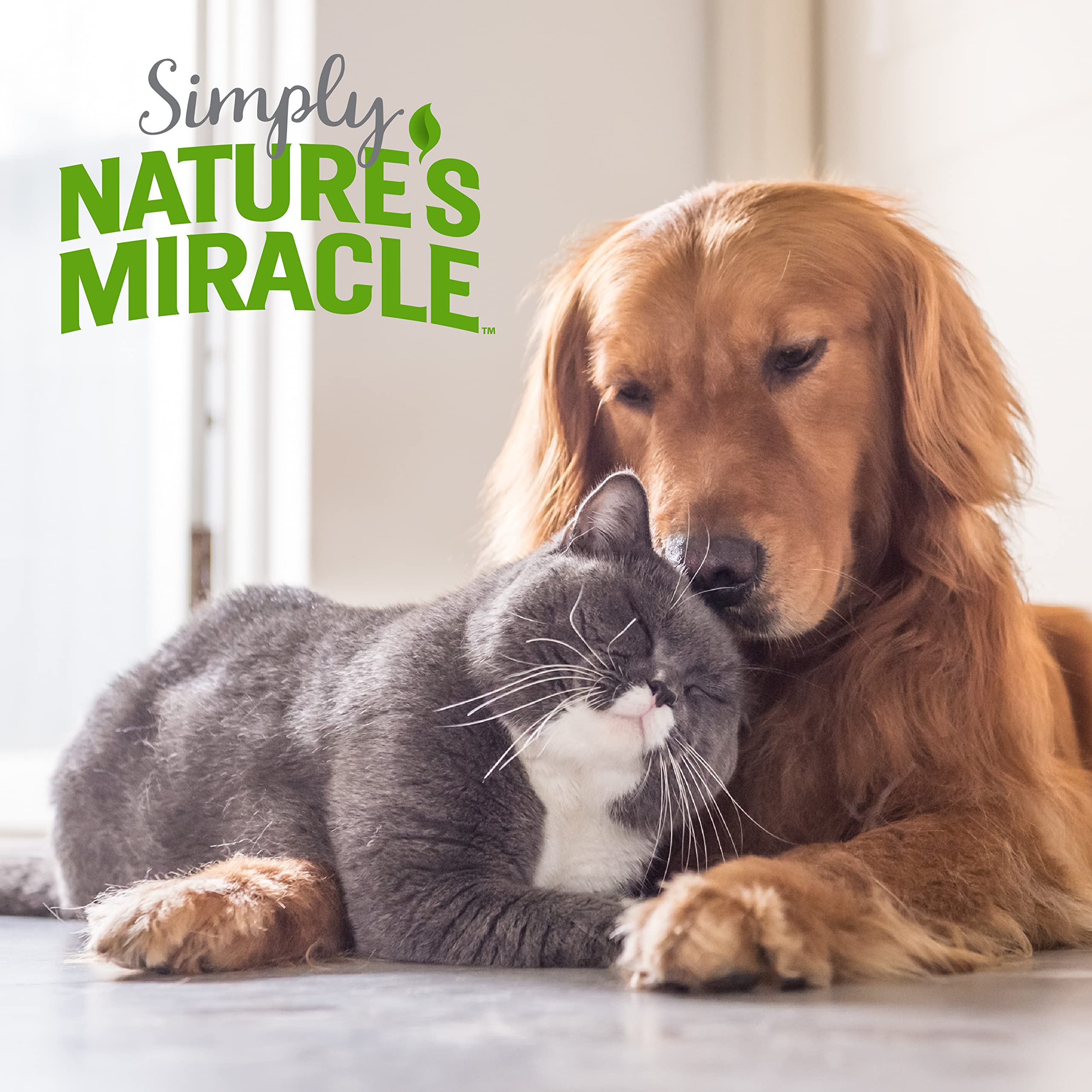 Nature's Miracle Simply toy stain shows odor removal around play items.