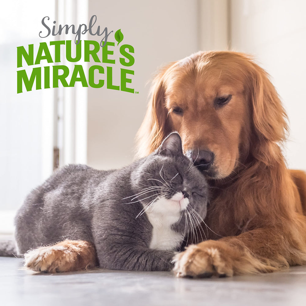 Nature's Miracle Simply toy stain shows odor removal around play items.