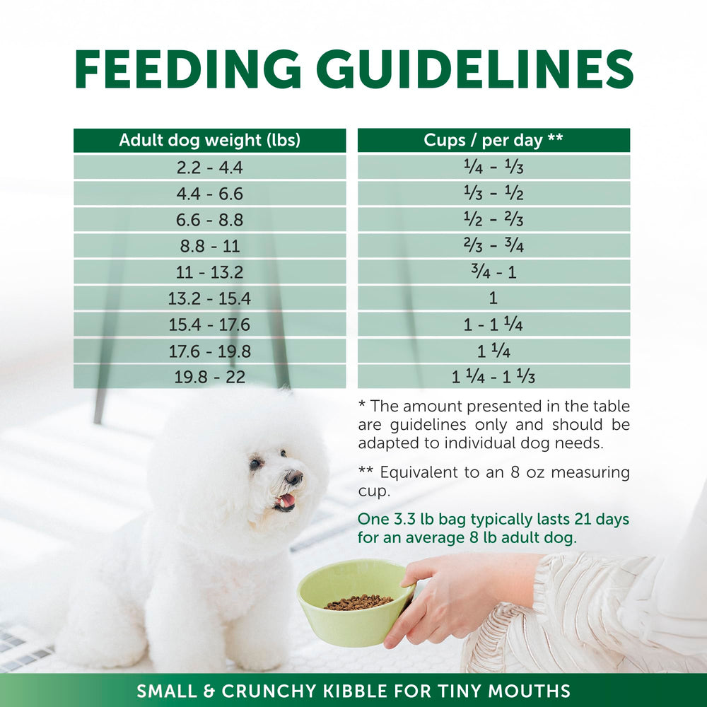 Nature's Protection 3.3 lb bag on shelf communicates compact, convenient small-breed option.