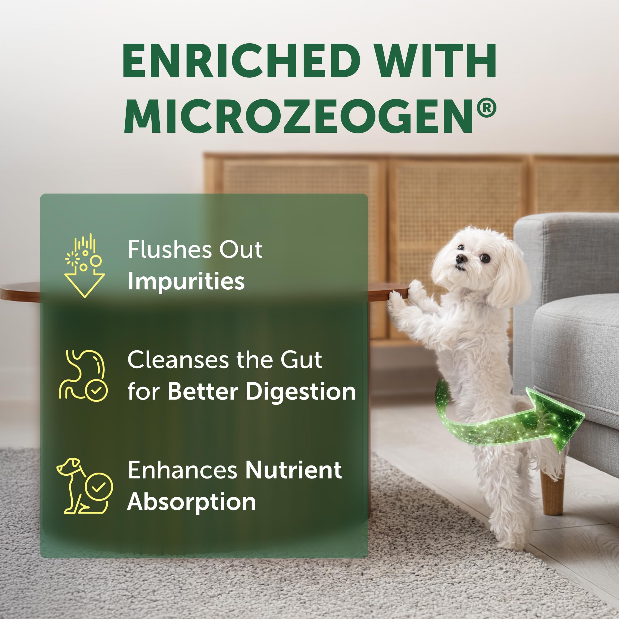 Nature's Protection dental-kibble helps promote clean teeth in small dogs.