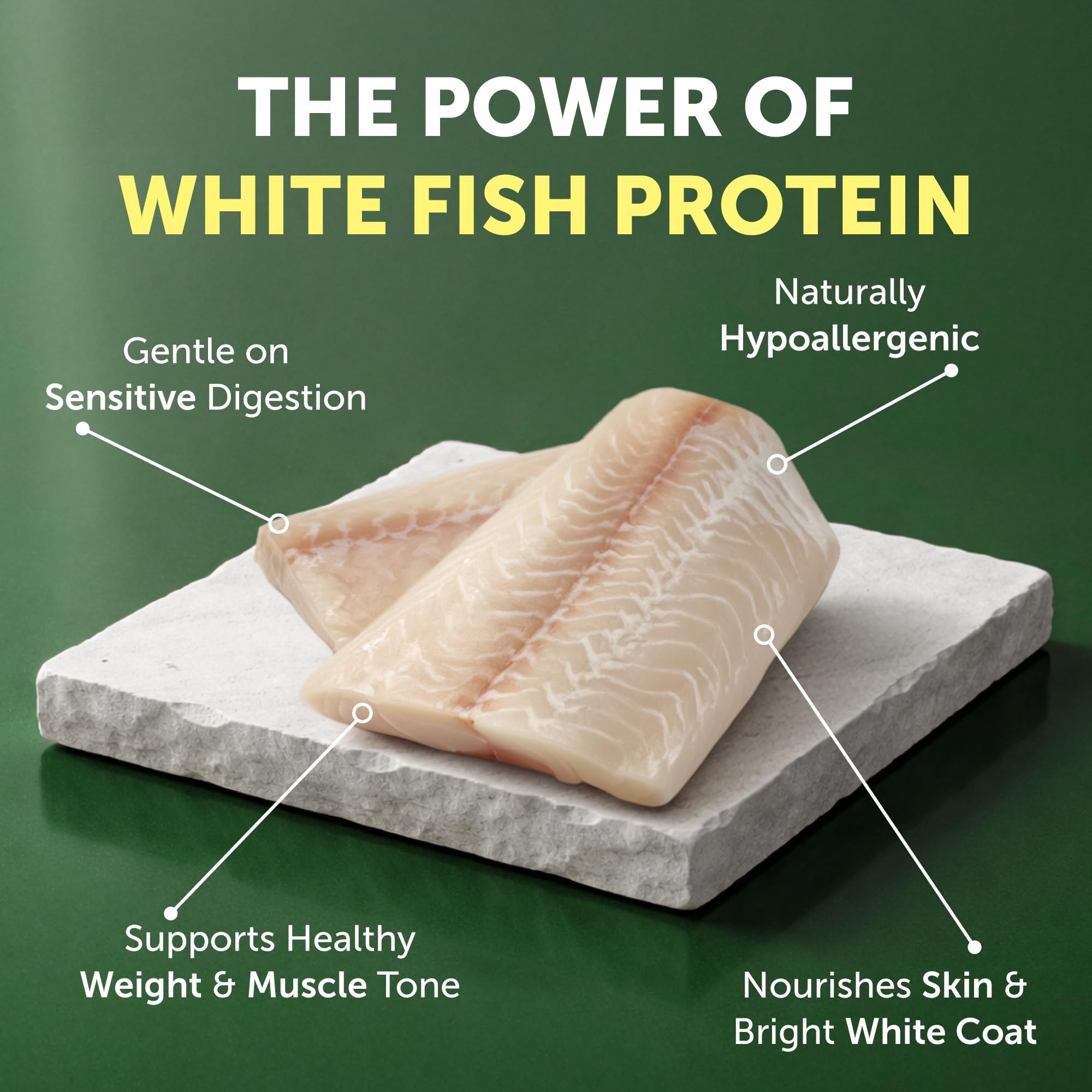 Nature's Protection grain-free formula closeup for digestion-friendly meals.