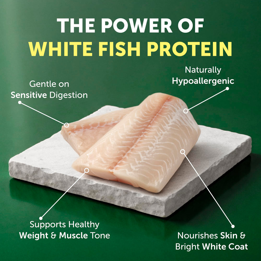Nature's Protection grain-free formula closeup for digestion-friendly meals.