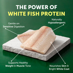 Nature's Protection grain-free formula closeup for digestion-friendly meals.