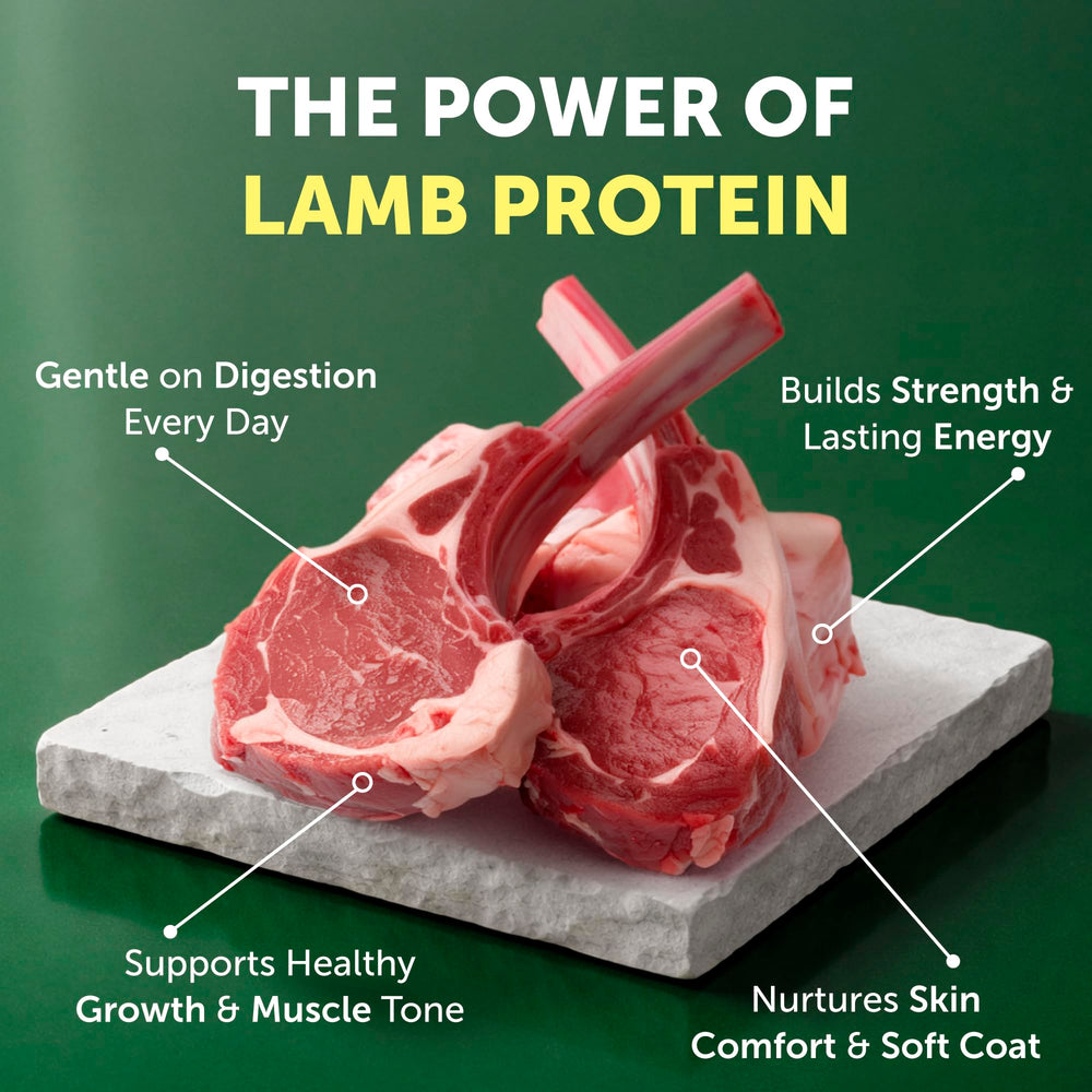 Grain-free, small-breed formula designed for balanced energy.