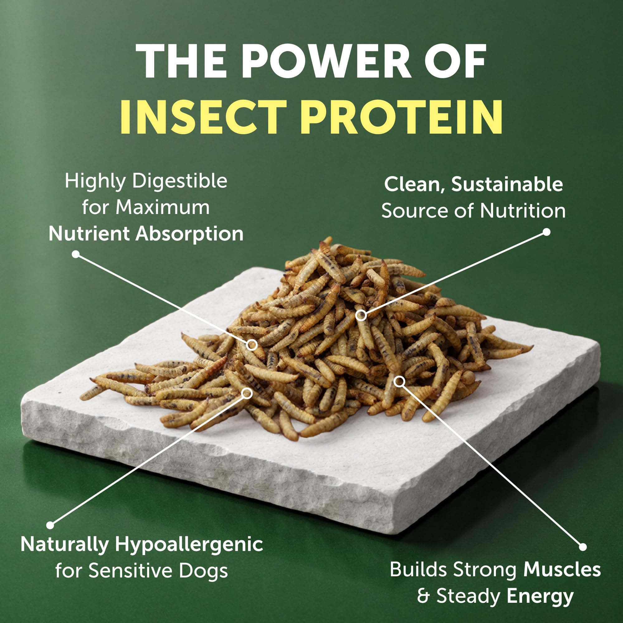 Insect protein ingredient indicating sustainable, digestible nutrition