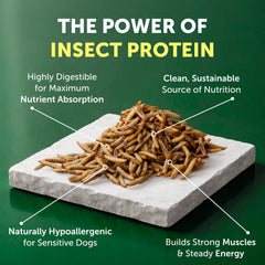 Insect protein ingredient indicating sustainable, digestible nutrition