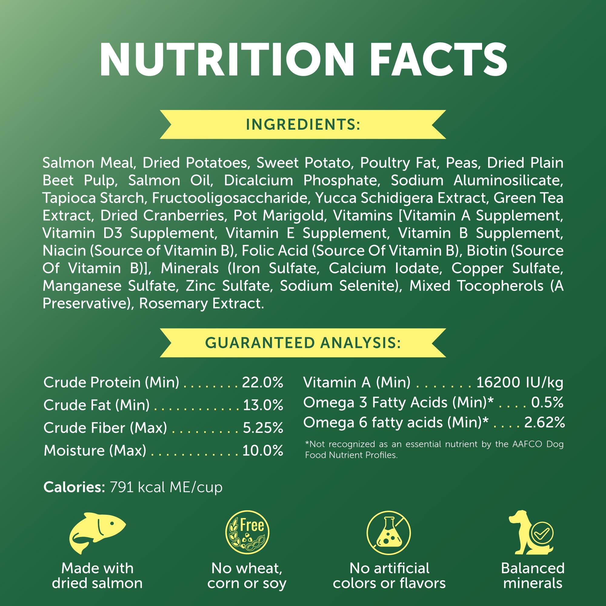 Nature's Protection kibble in dog bowl showcases balanced nutrition for daily meals.