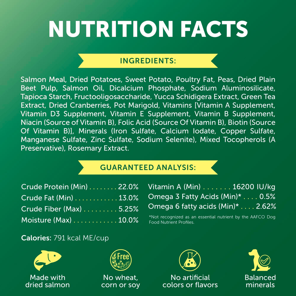 Nature's Protection kibble in dog bowl showcases balanced nutrition for daily meals.