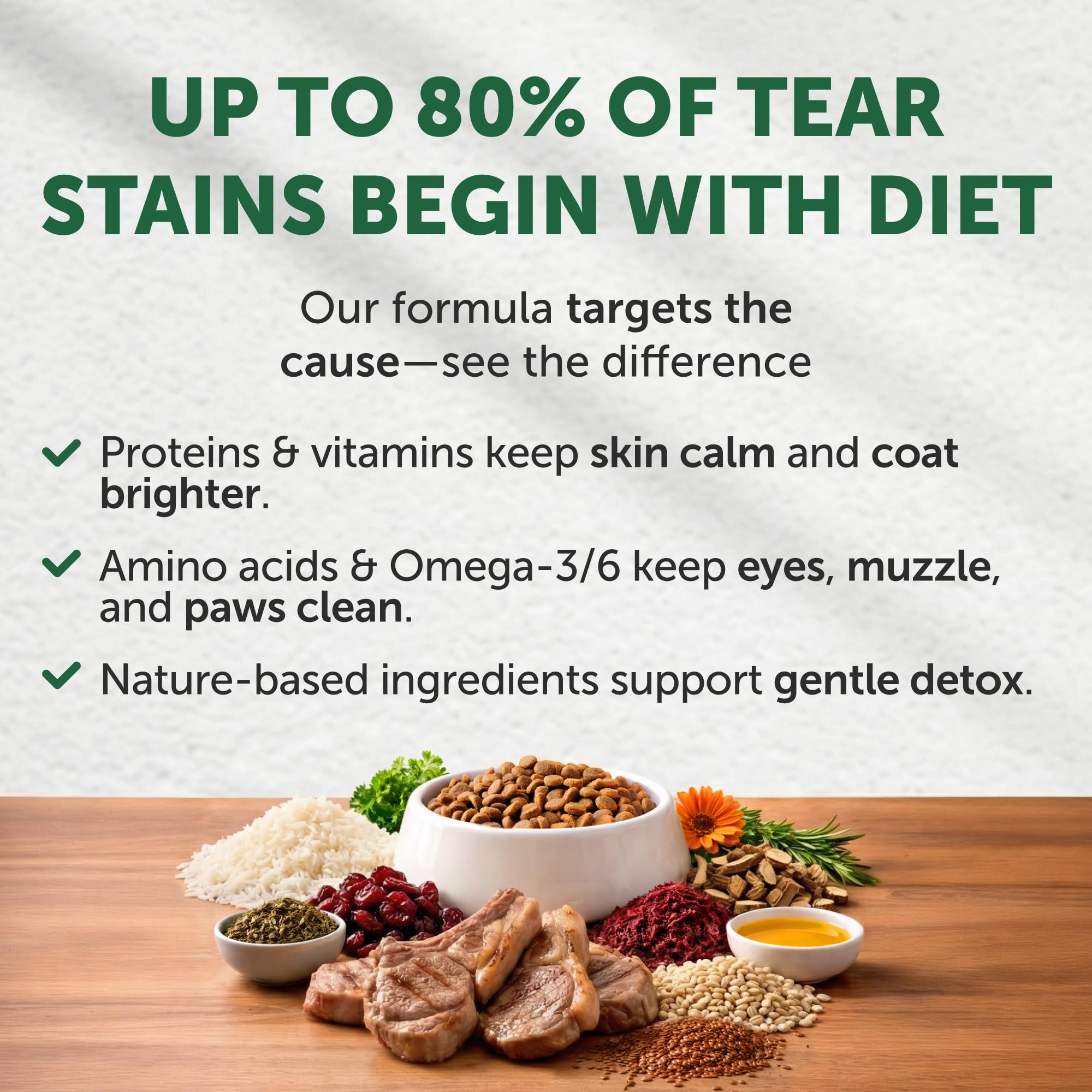 Nature's Protection lamb and rice kibble close-up highlighting protein-rich bites