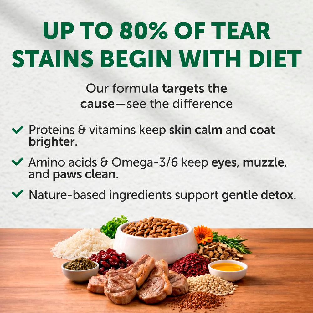 Nature's Protection lamb and rice kibble close-up highlighting protein-rich bites