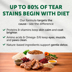 Nature's Protection lamb and rice kibble close-up highlighting protein-rich bites