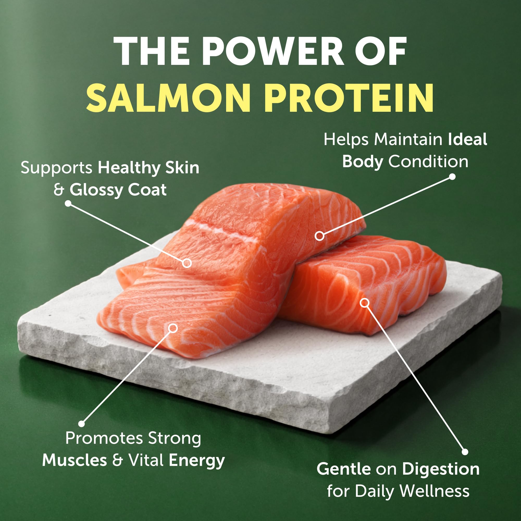 Nature's Protection Salmon kibble for white-coated dogs supports a balanced, appetizing meal.