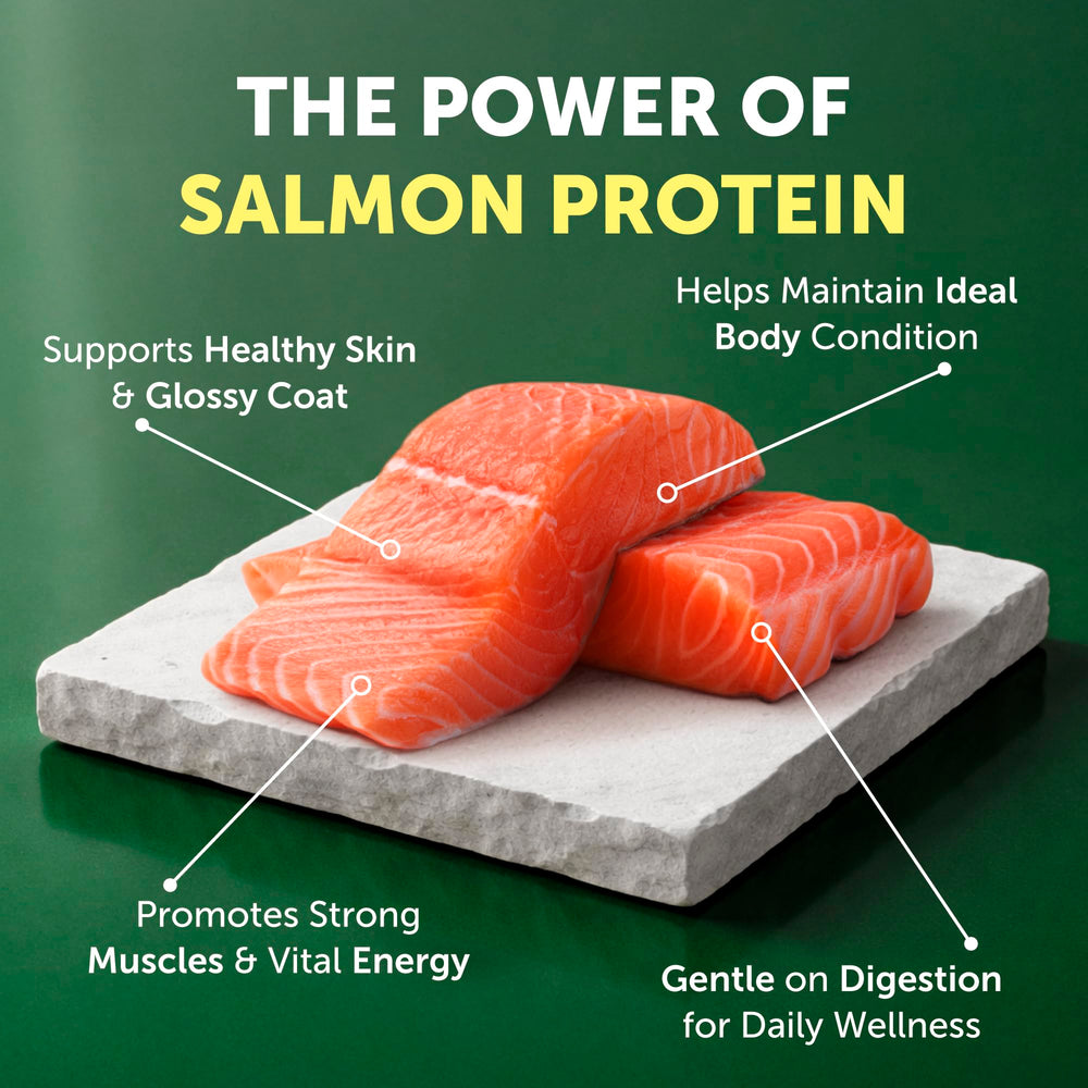 Nature's Protection Salmon kibble for white-coated dogs supports a balanced, appetizing meal.