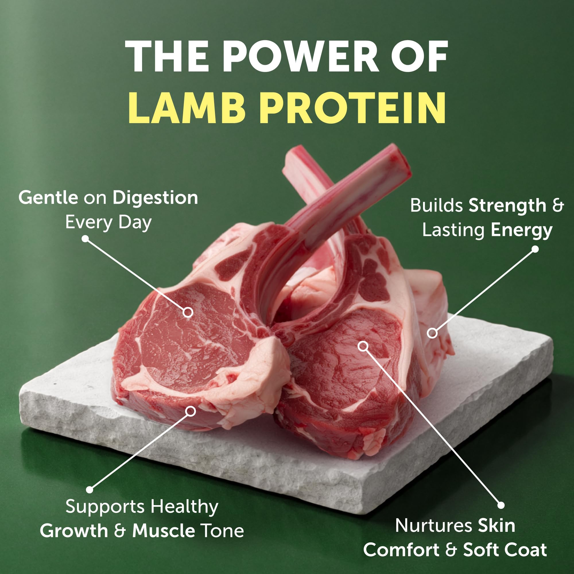 Nature's Protection small-bite kibble designed for tiny jaws and easier chewing