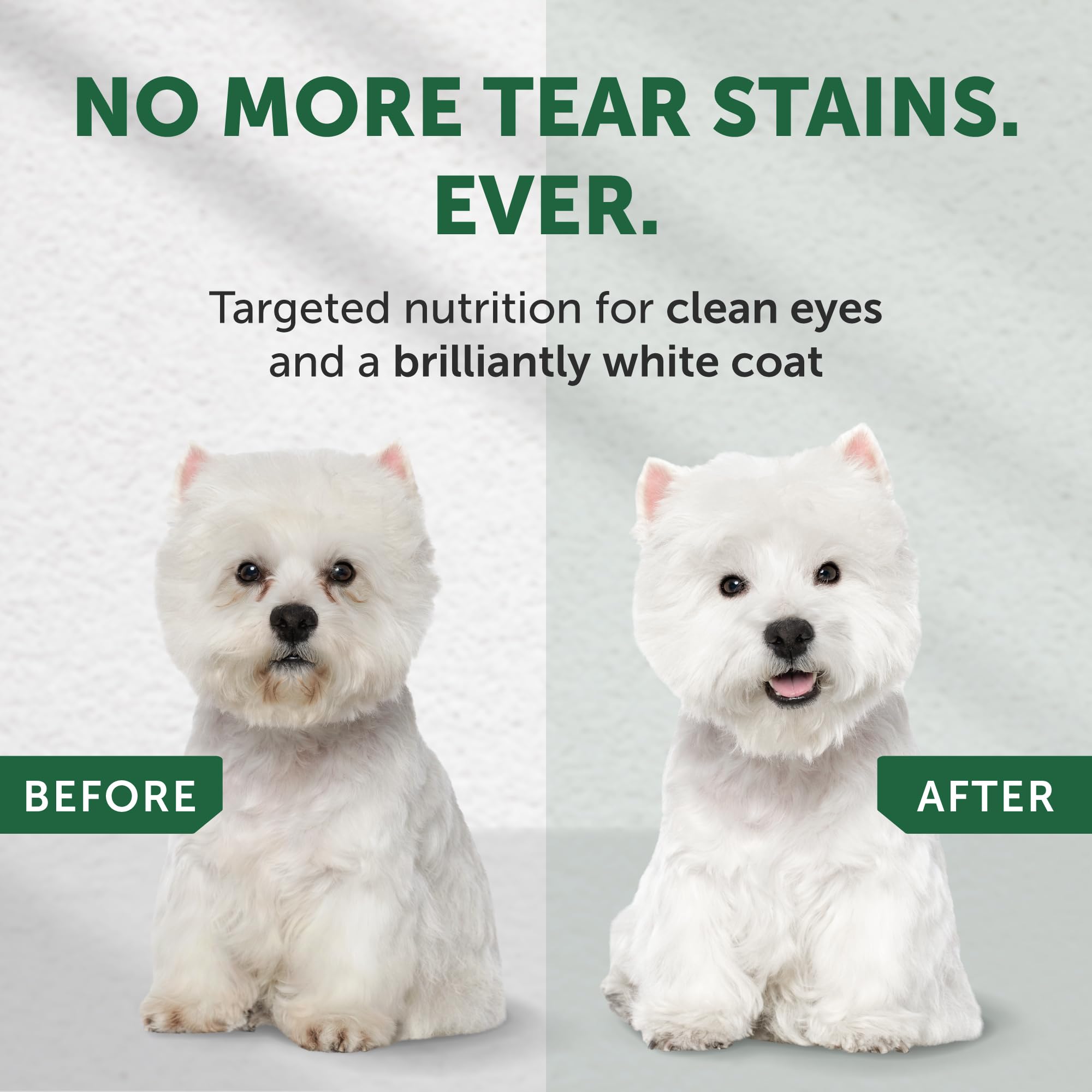 Nature's Protection small-breed kibble closeup highlights crunchy texture for dental care.