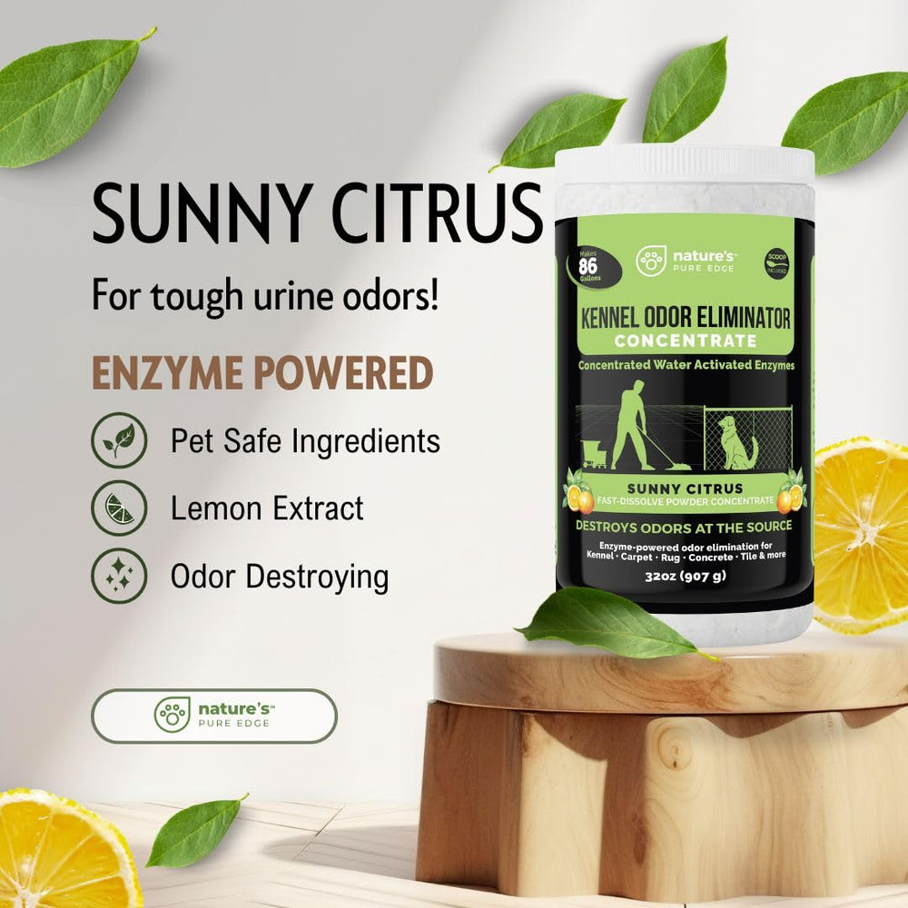 Carpets and hard floors treated with Nature's Pure Edge enzyme powder.