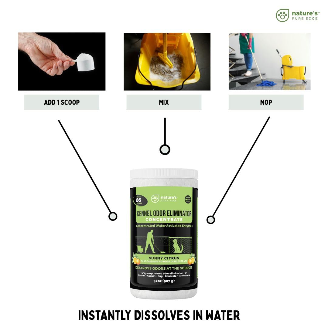 Mop solution prepared with Nature's Pure Edge to tackle pet odors on floors.