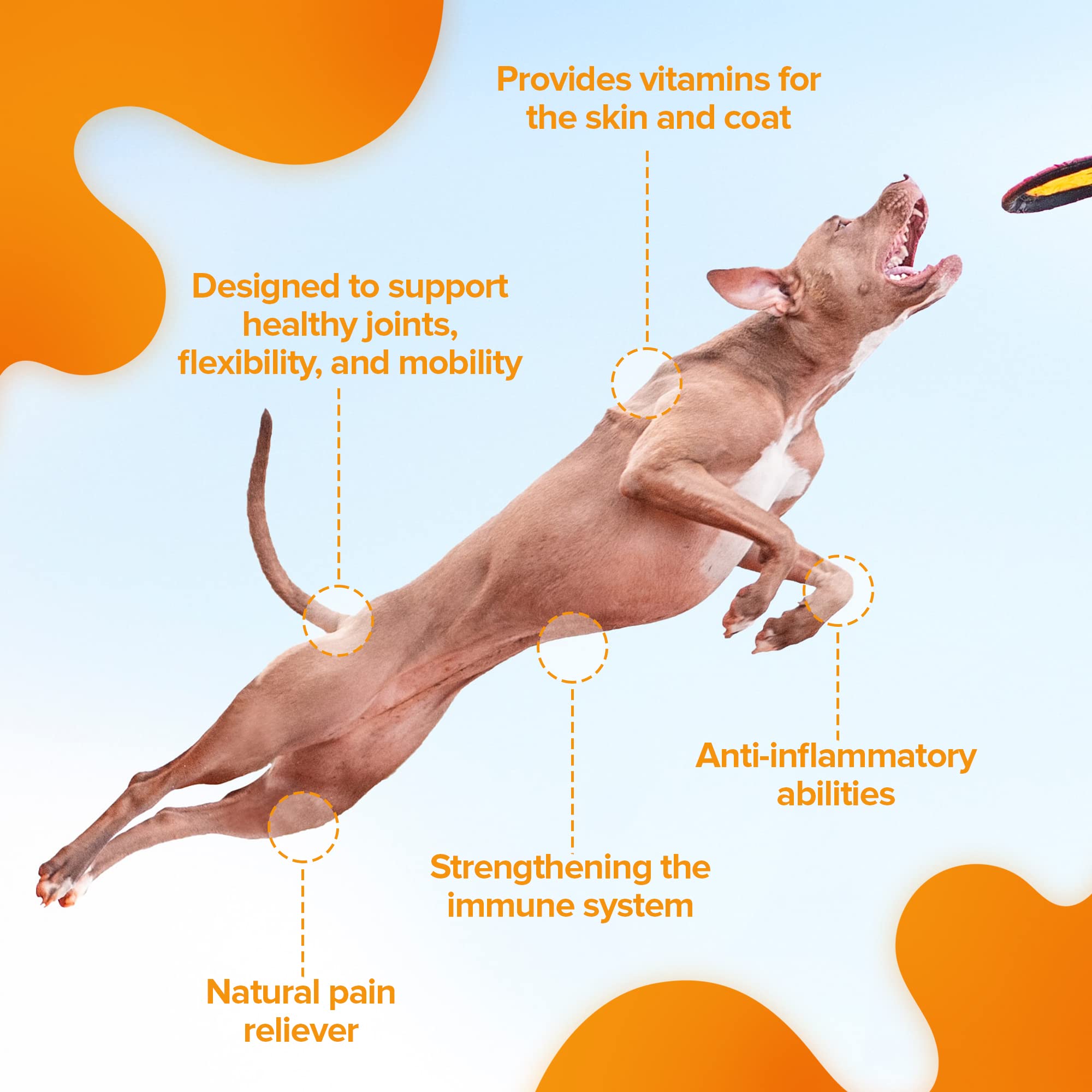 Nature's Pure Edge ingredient group: glucosamine, chondroitin, MSM, turmeric, calcium