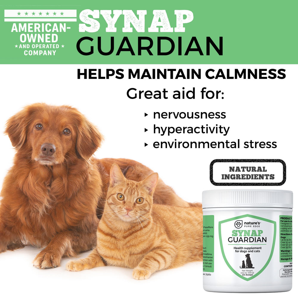 Dog and cat companions enjoying a relaxed moment with Synap Guardian