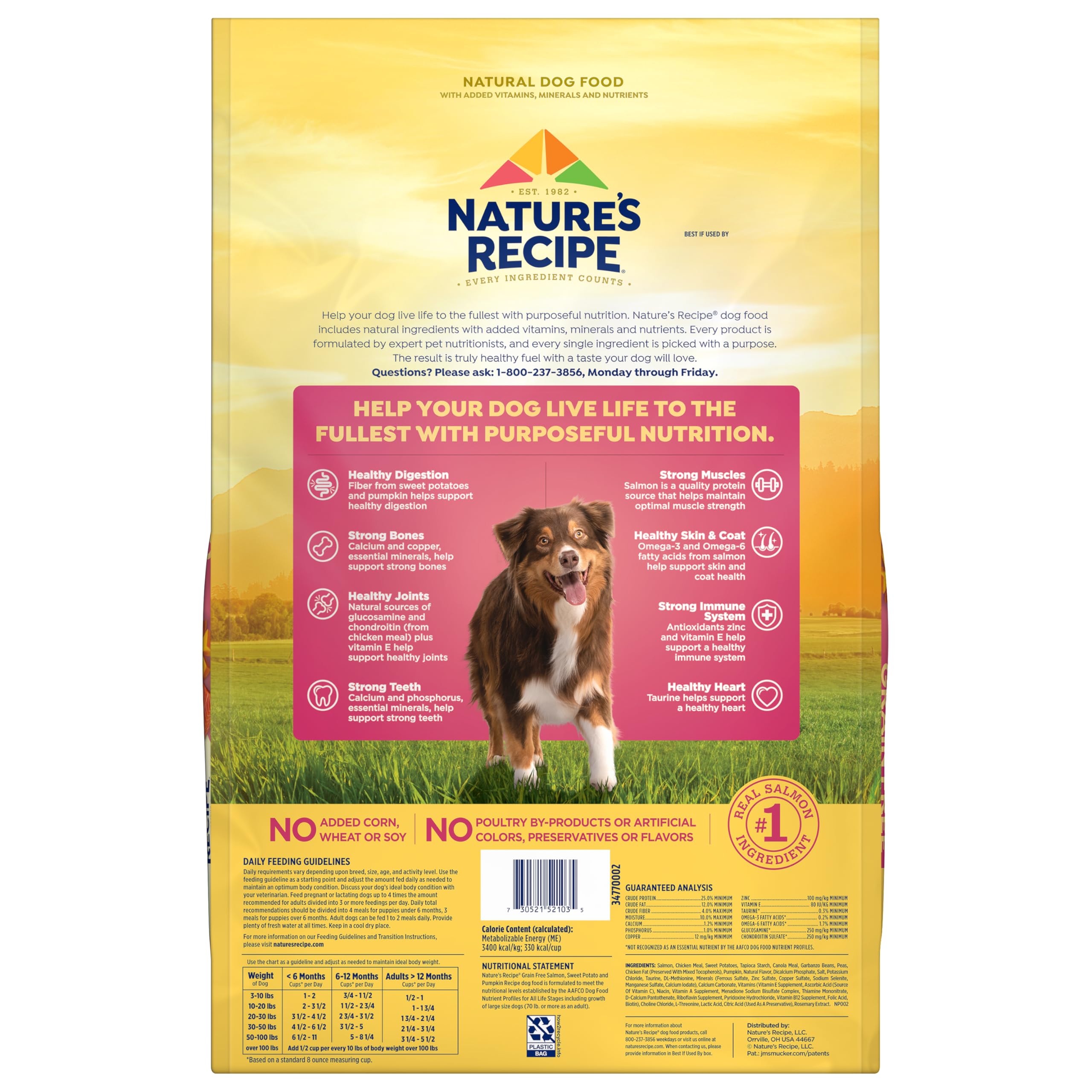 Nature's Recipe 12-pound bag ready for household feeding.