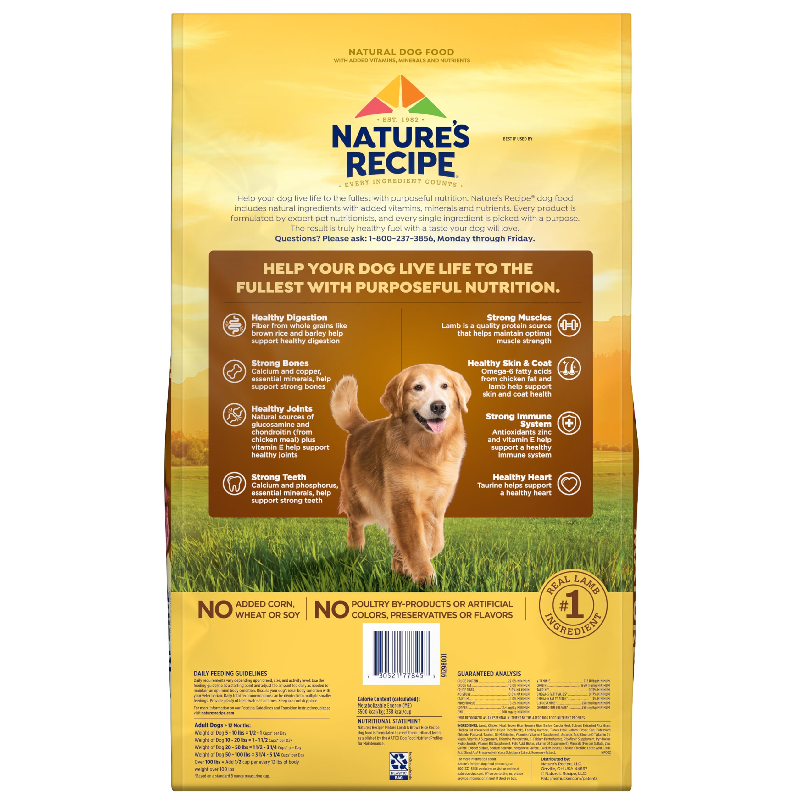 Nature's Recipe 24 lb package, convenient for long-term senior feeding.