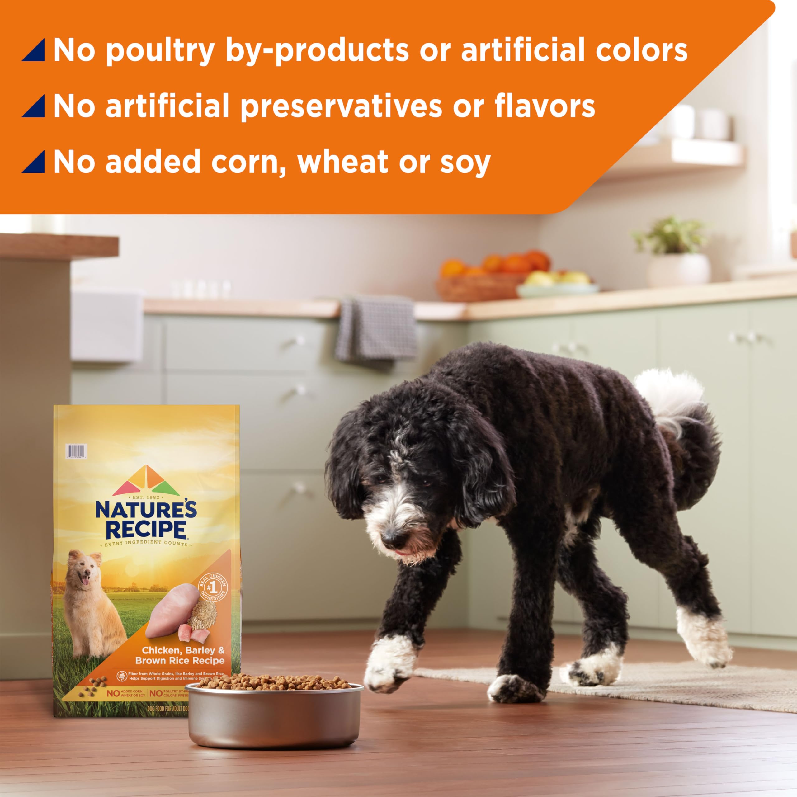 Nature's Recipe adult-meal serving shot shows proper portions for meals
