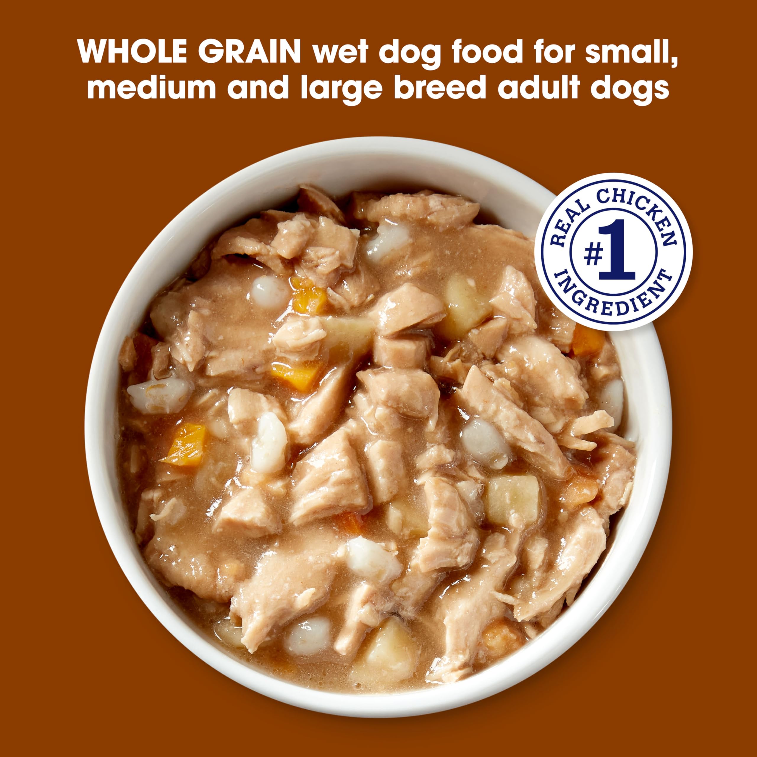 Nature’s Recipe adult dog serving on a plate for balanced meals