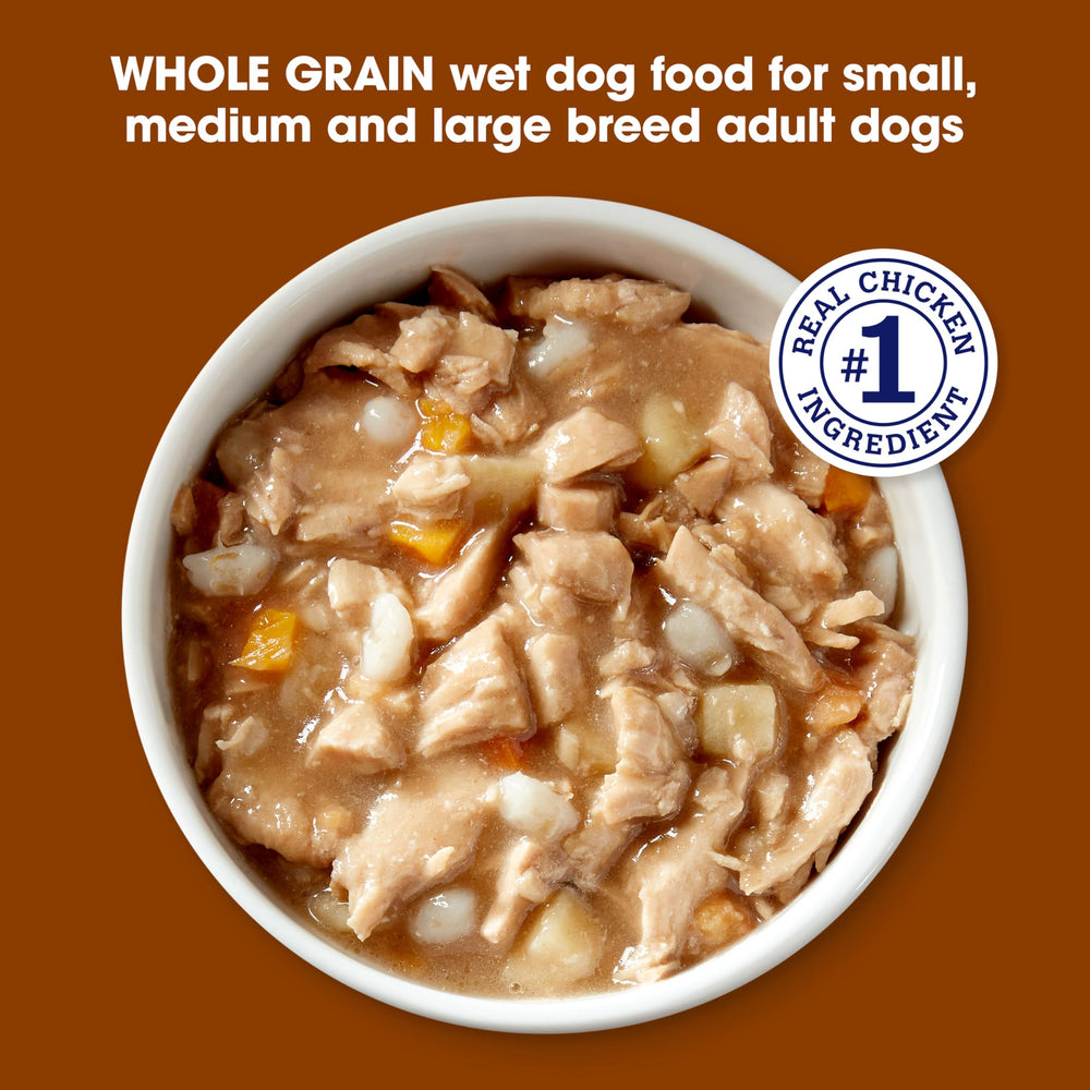Nature’s Recipe adult dog serving on a plate for balanced meals