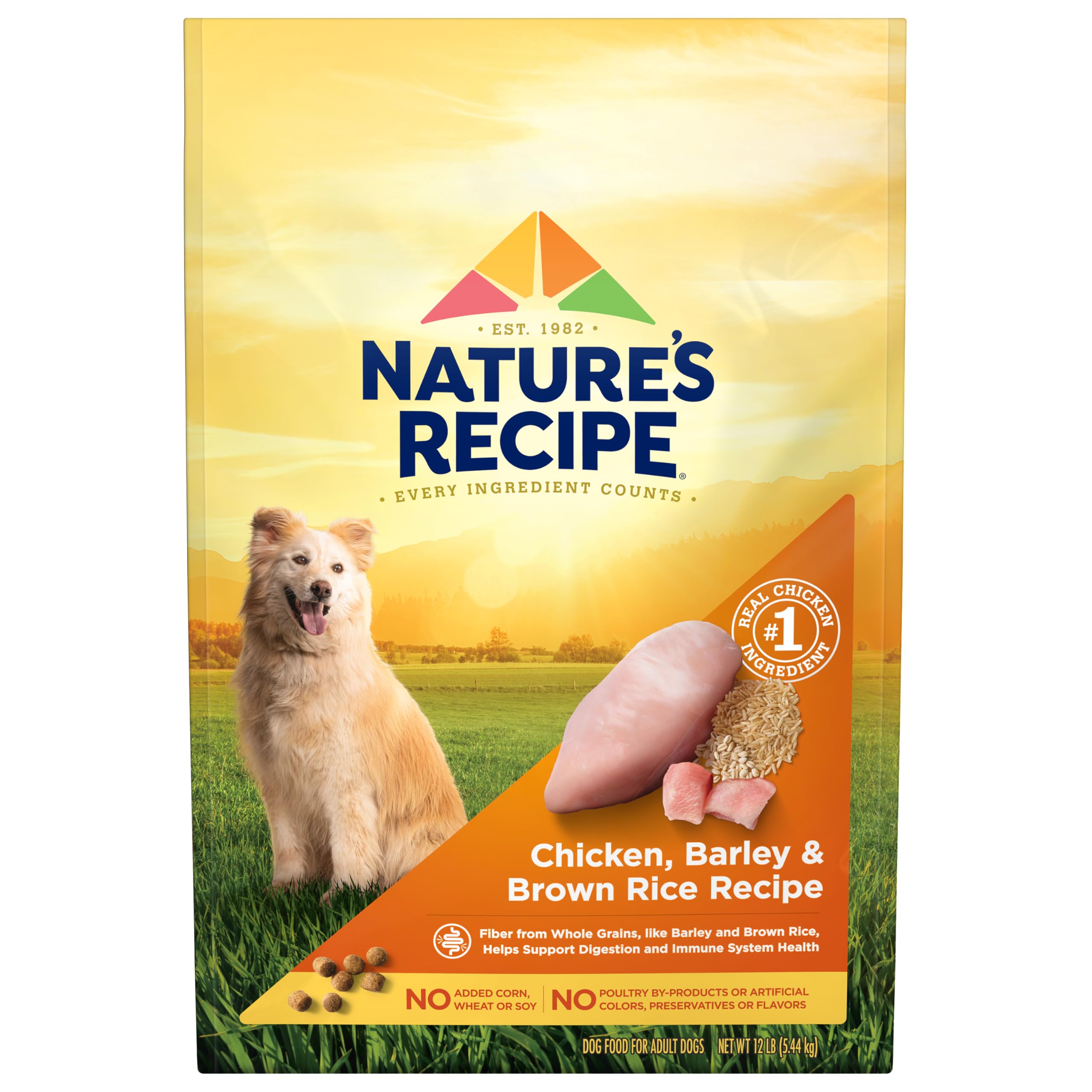 Nature's Recipe chicken-barley-brown-rice dry dog food bag front view for adult dogs