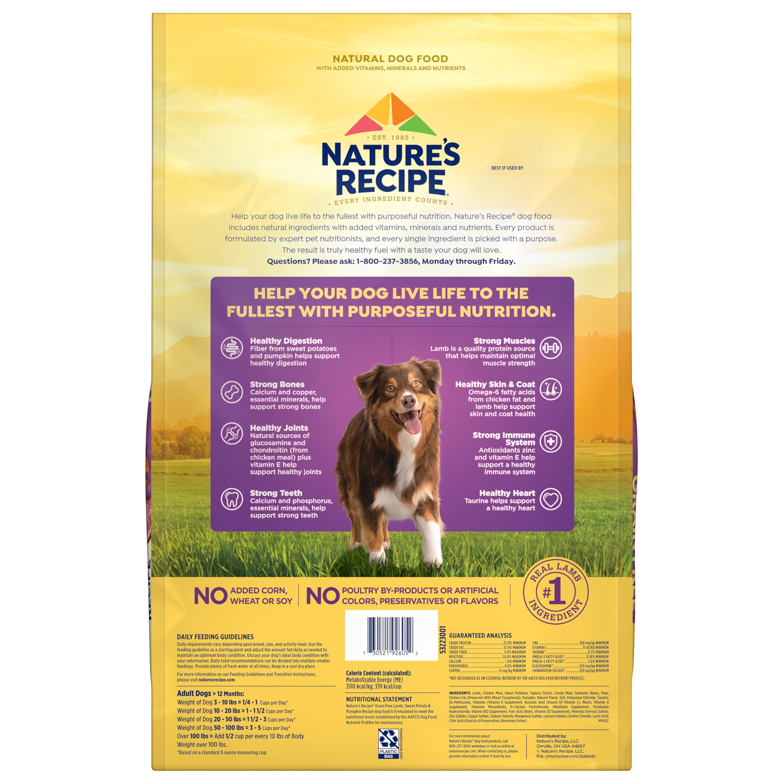 Nature's Recipe dog with wagging tail after meal shows happiness