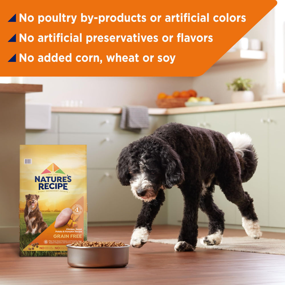 Nature's Recipe bowl with kibble showcasing savory dry dog food serving.
