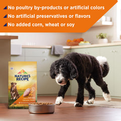 Nature's Recipe bowl with kibble showcasing savory dry dog food serving.