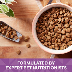 Nature's Recipe dry kibble in a bowl showing texture and color