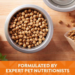 Nature's Recipe kibble texture close-up demonstrates quality bite for adult dogs