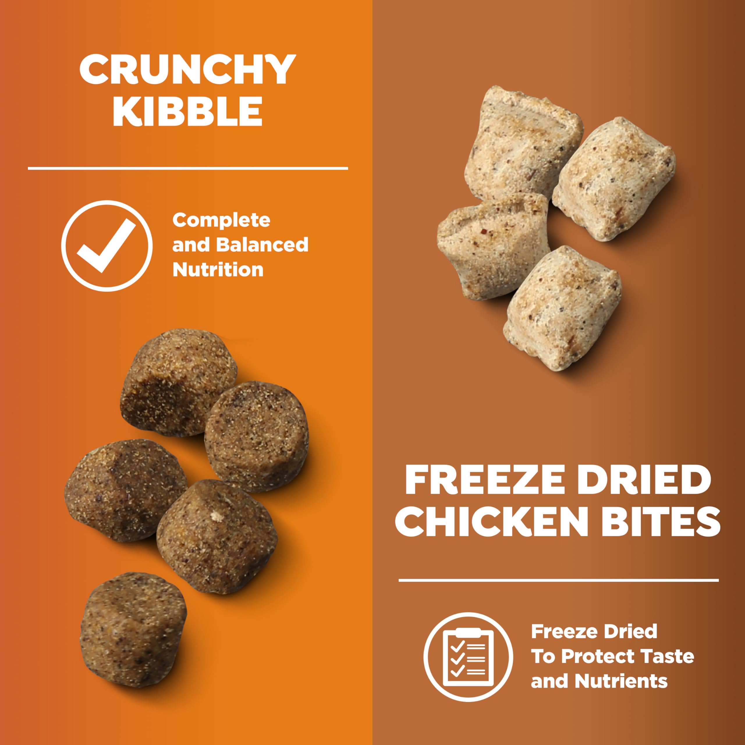 Nature's Recipe freeze-dried chicken bites with kibble highlights texture and taste.