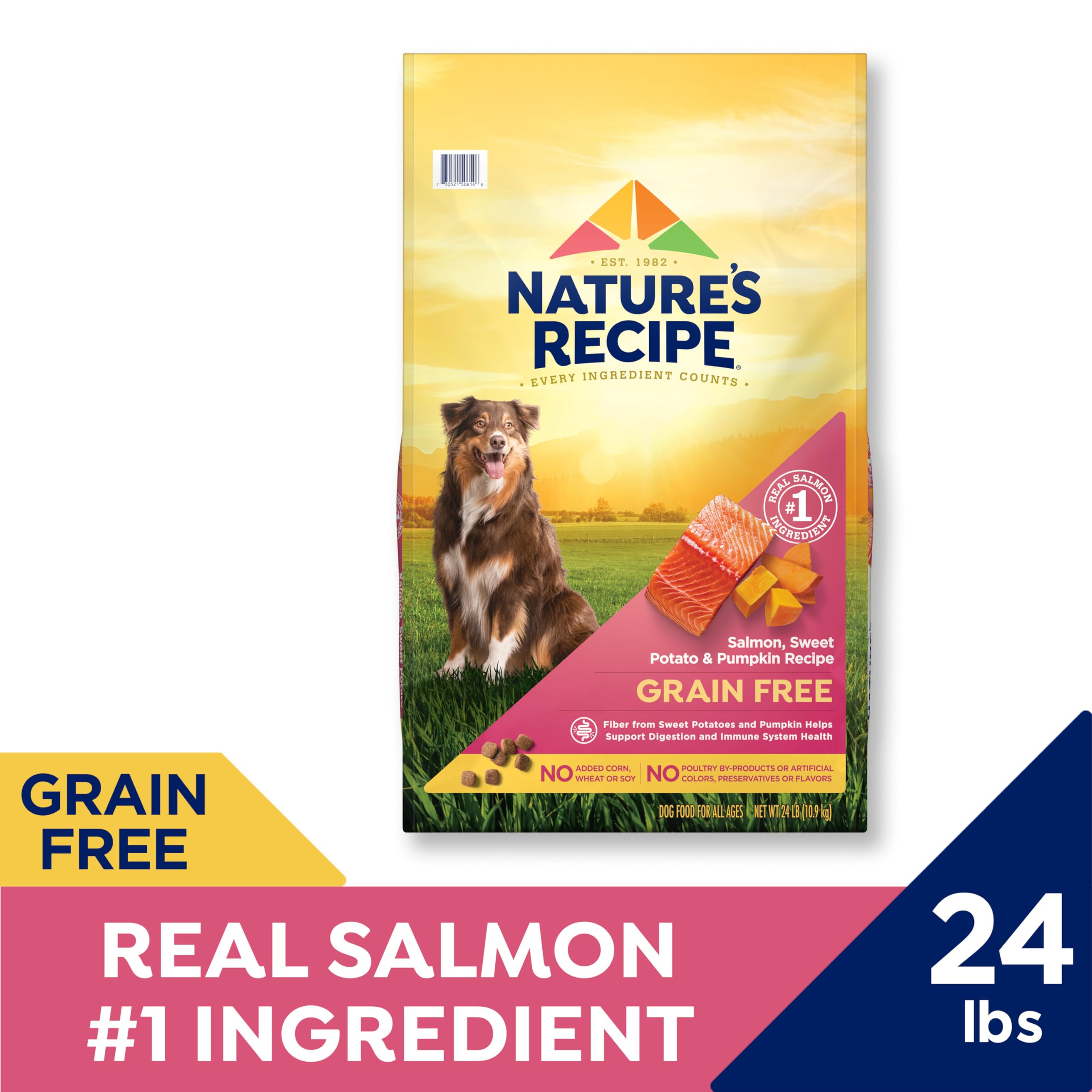 Nature's Recipe grain-free dry dog food bowl ready for feeding