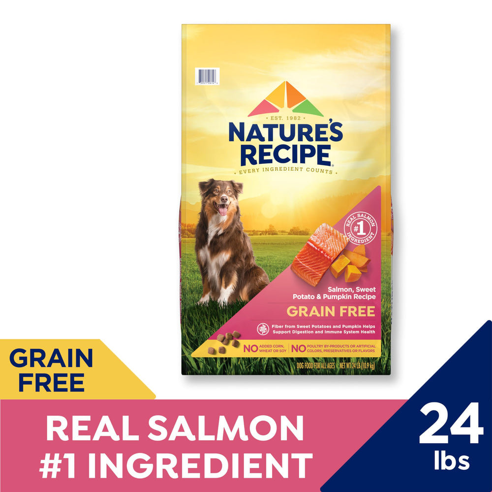 Nature's Recipe grain-free dry dog food bowl ready for feeding