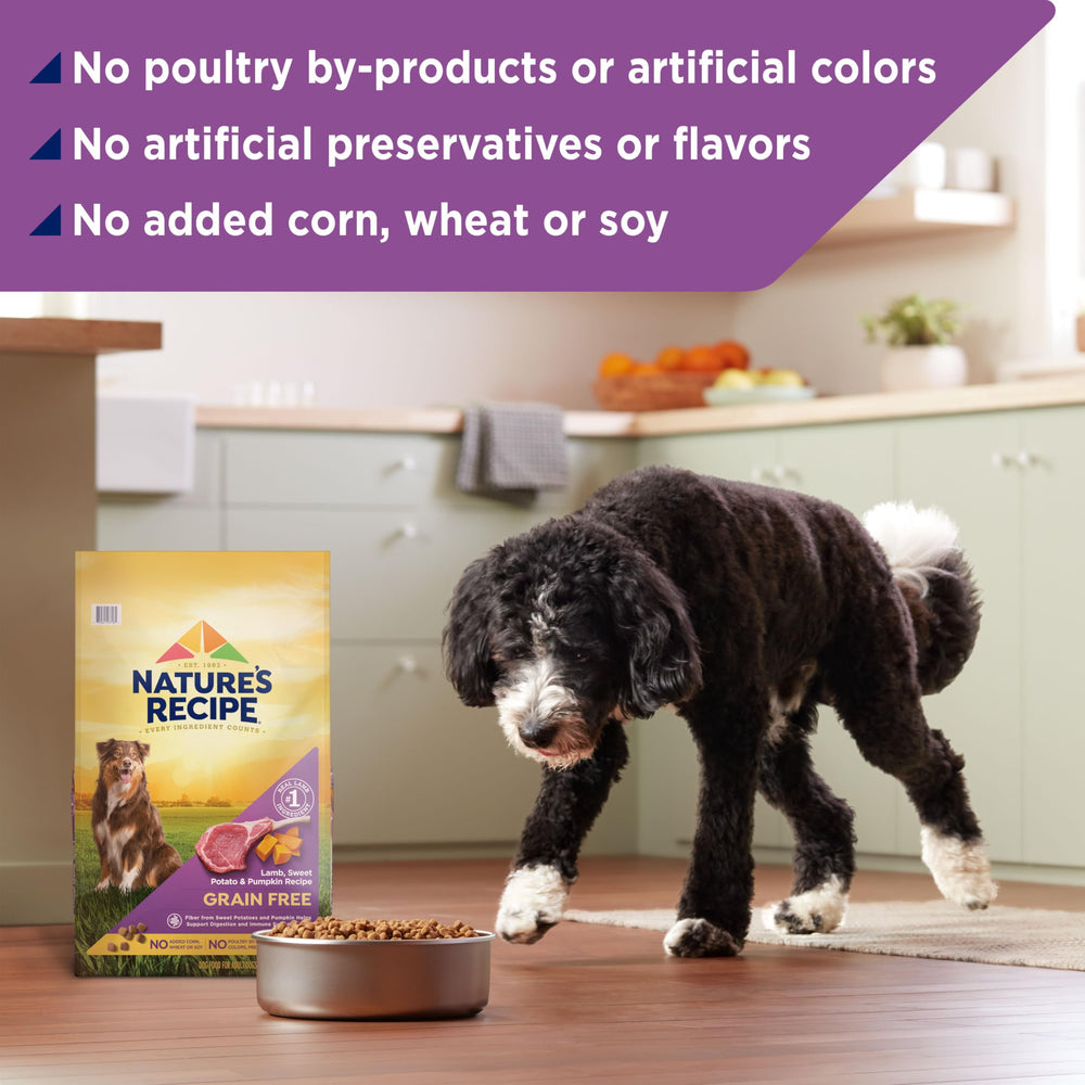 Nature's Recipe grain free lamb with pumpkin emphasizes antioxidant rich goodness