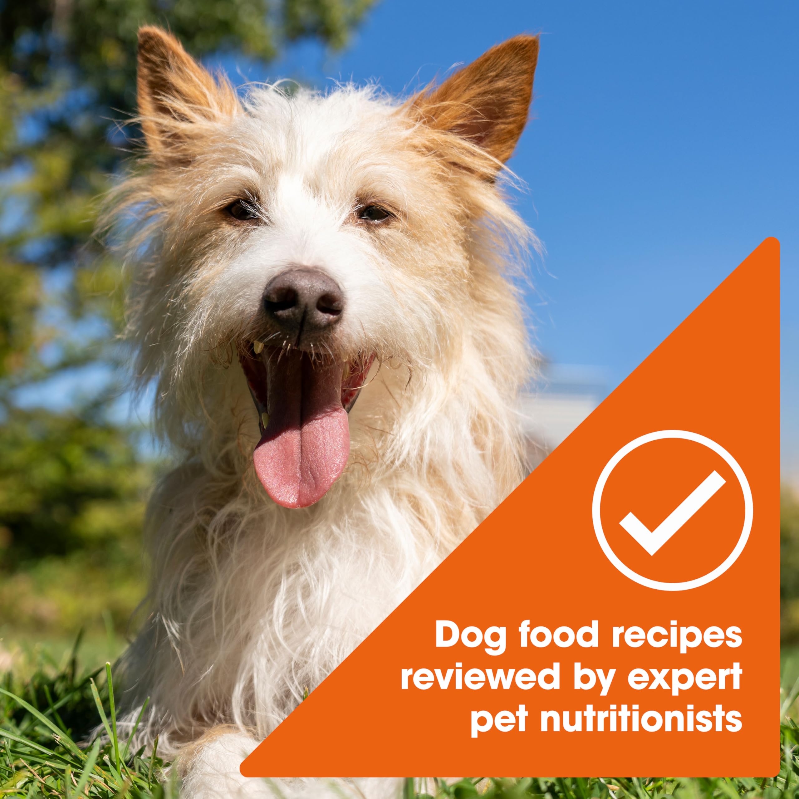 Nature’s Recipe nutrition panel – shows natural vitamins and minerals.