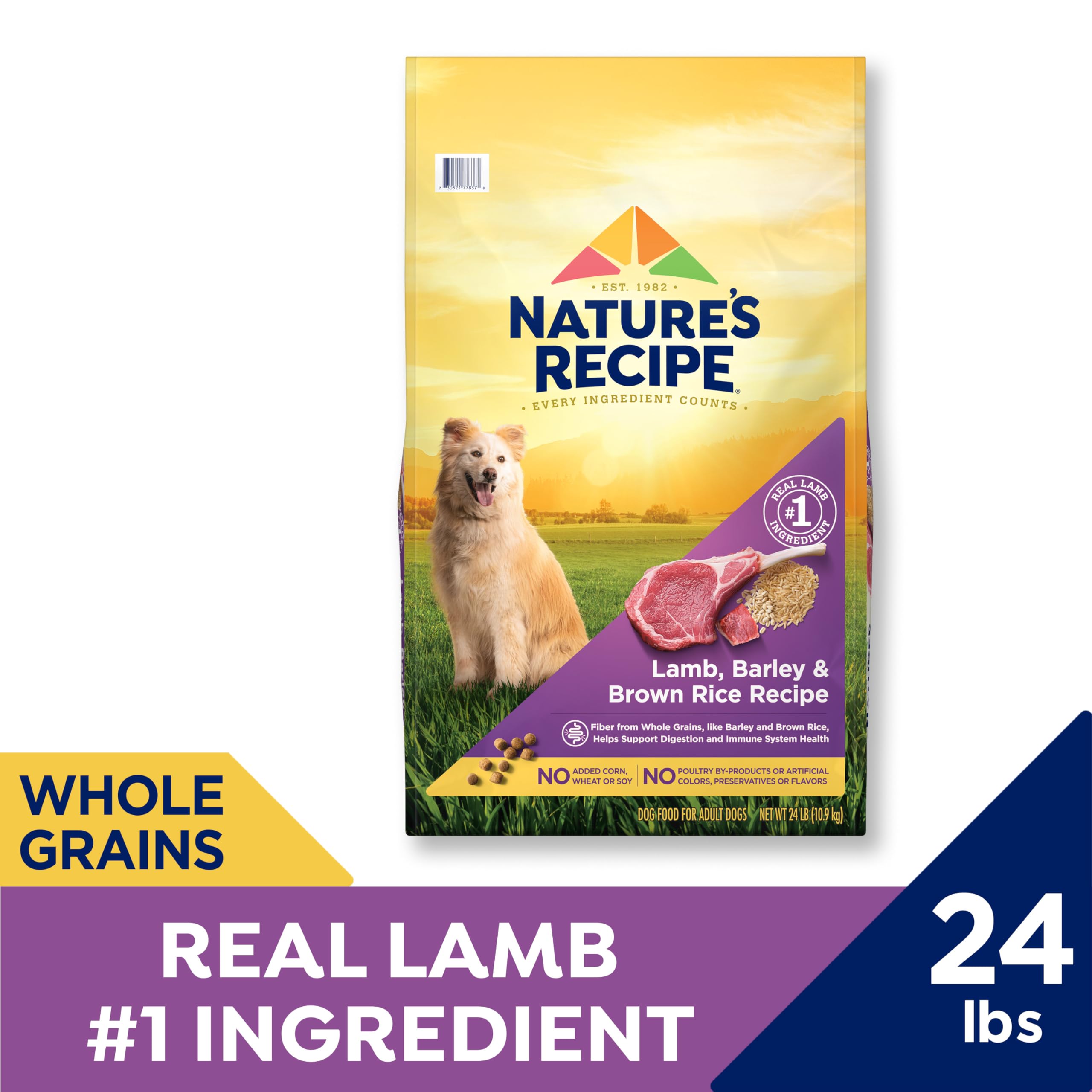 Nature's Recipe lamb kibble close-up highlights real lamb flavor