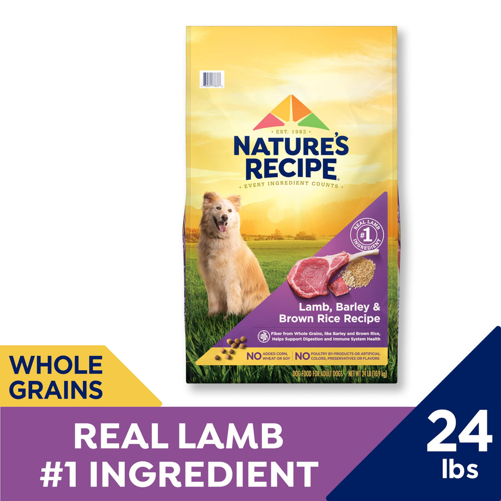Nature's Recipe lamb kibble close-up highlights real lamb flavor