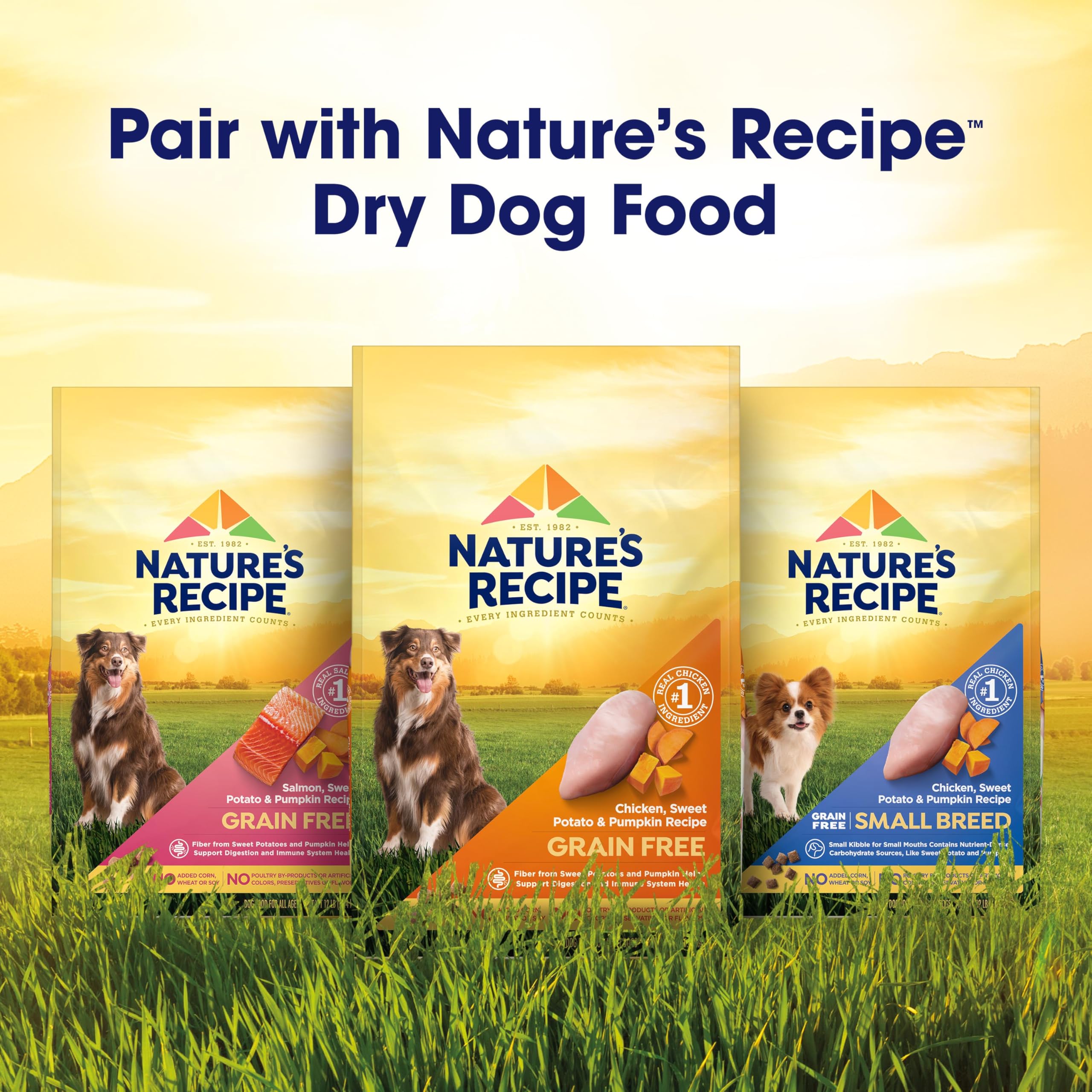 Nature's Recipe natural vitamins minerals label communicates balanced nutrition