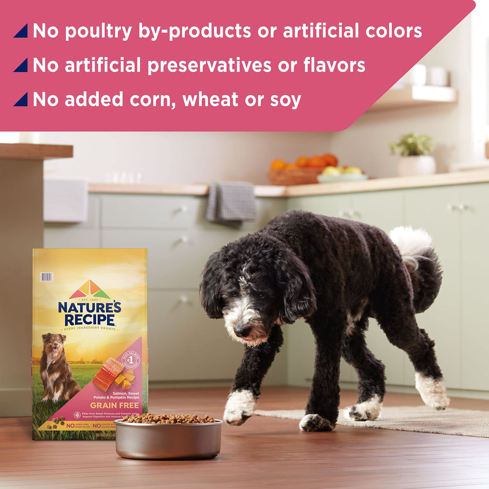 Nature's Recipe no-corn-wheat-soy label shows clean, natural dog food