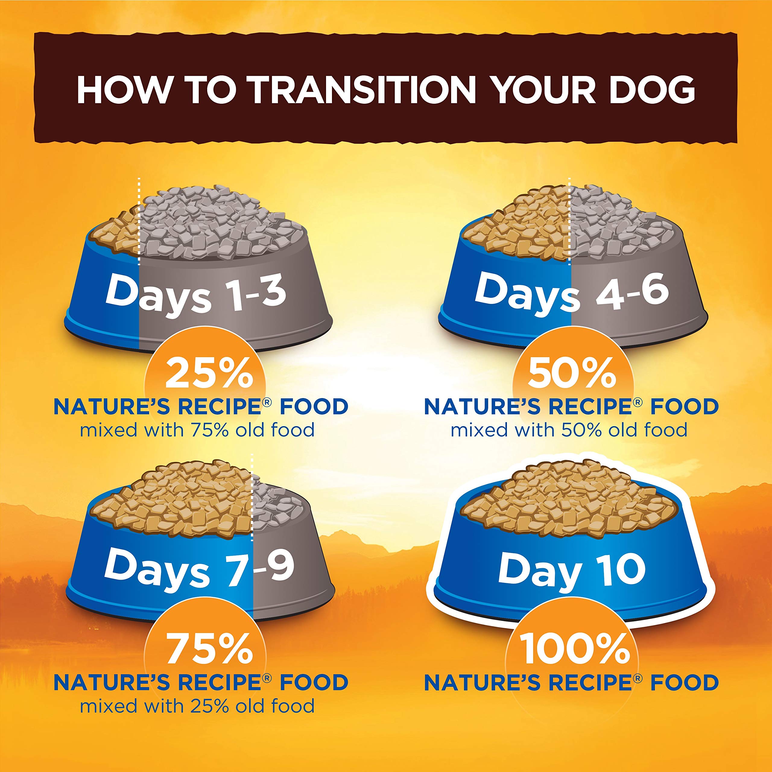 Nature's Recipe adult dog meals in 2.75 oz cups for quick feeding.
