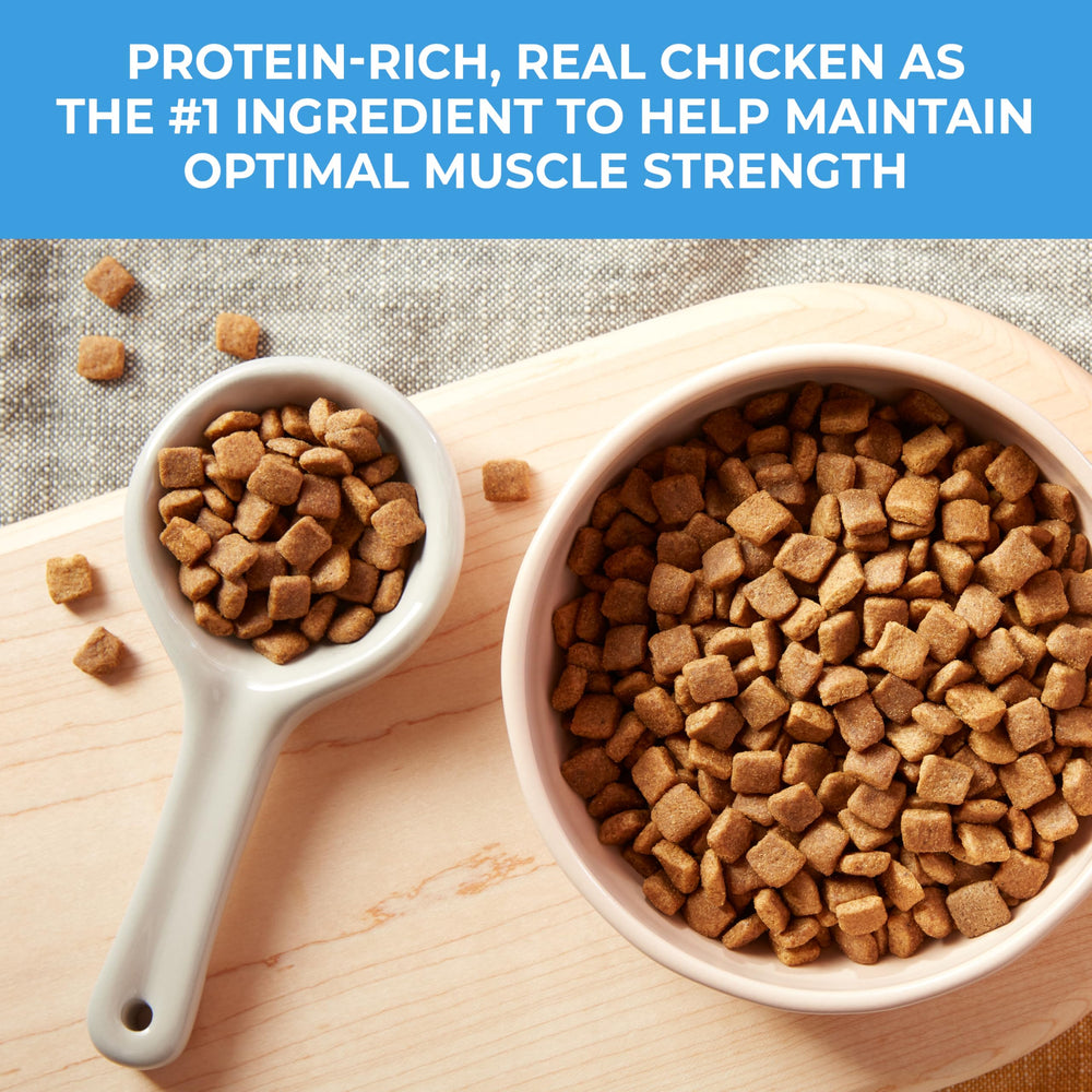 Nature's Recipe no corn wheat soy label highlights clean ingredients