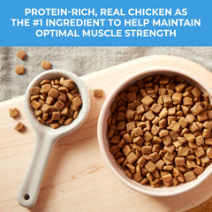 Nature's Recipe no corn wheat soy label highlights clean ingredients