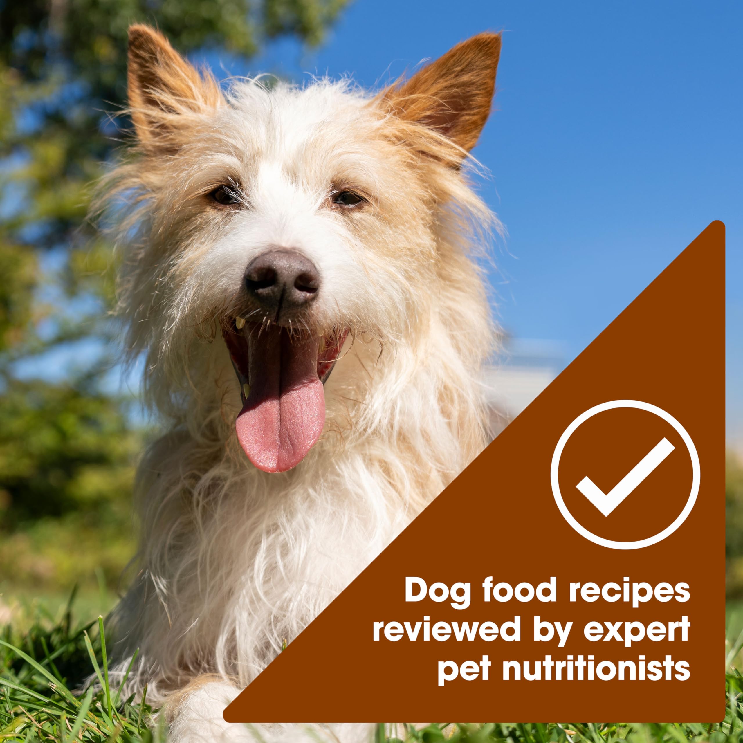 Nature's Recipe real beef first-ingredient close-up emphasizes satisfying flavor and protein