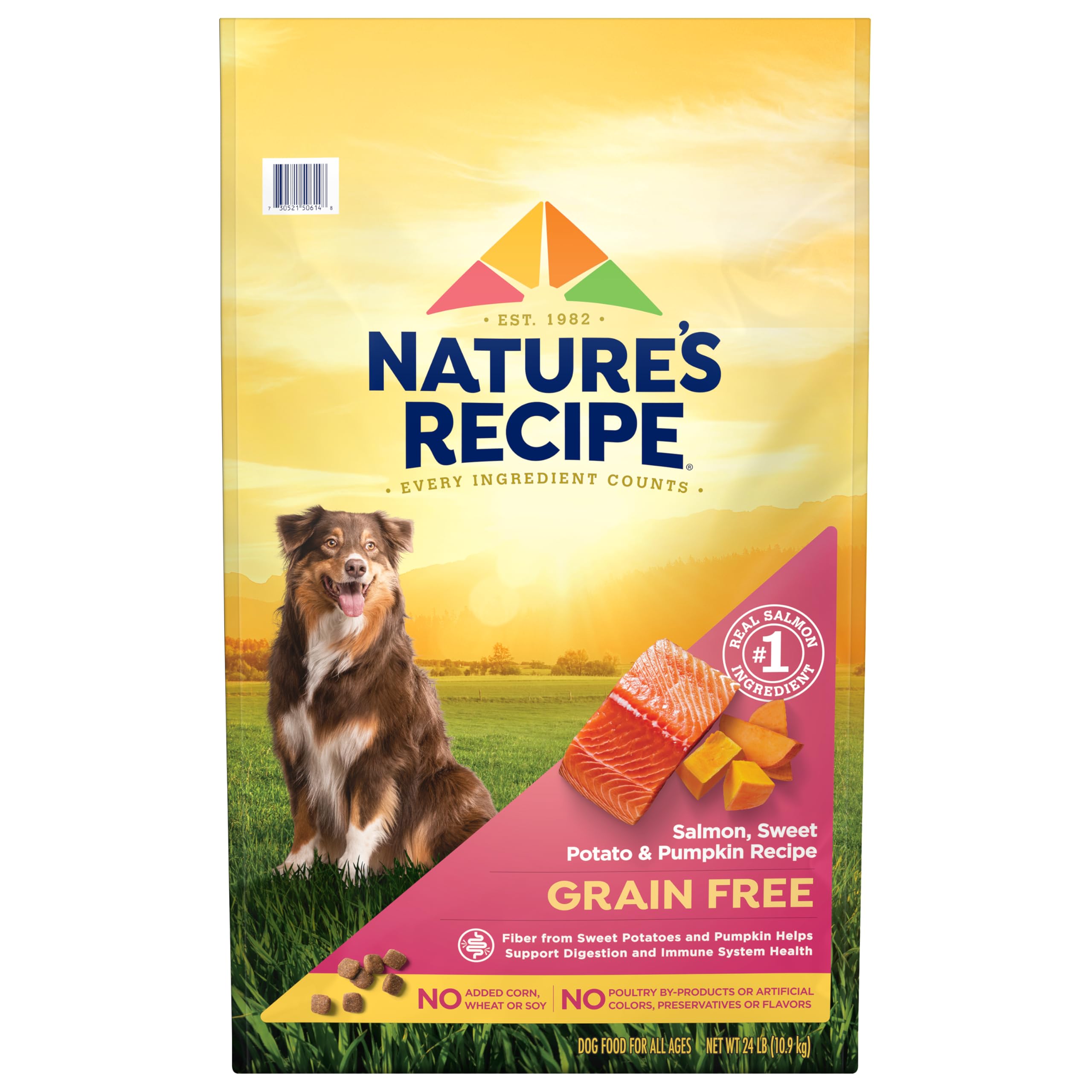 Nature's Recipe Grain Free Salmon bag front grain-free formula supports digestion